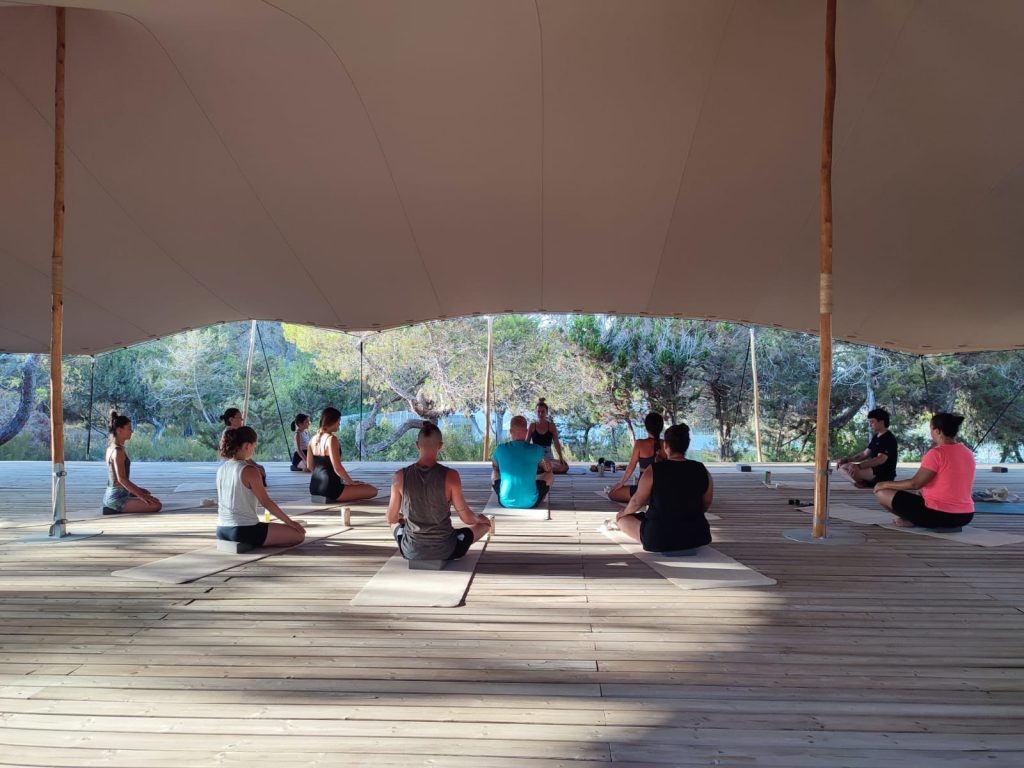 clases de yoga en la plataforma del bosque